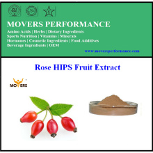GMP Manufacture Supply Rose HIPS Extracto de fruta